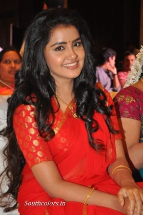 anupama parameswaran at shatamanam bhavati success meet southcolors 14