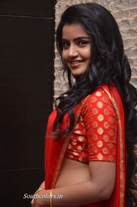 anupama parameswaran at shatamanam bhavati success meet southcolors 36