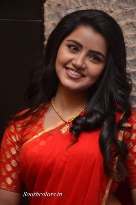 anupama parameswaran at shatamanam bhavati success meet southcolors 37