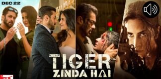 Tiger Zinda Hai Movie Audio JukeBox Songs