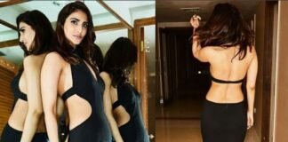 Actress Vaani Kapoor Hot Backless Pic Shared on Instagram