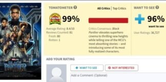 Black Panther Score 100% on Rotten Tomatoes