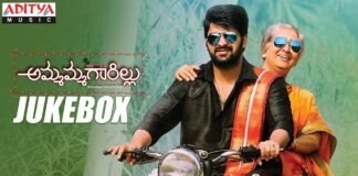 Ammammagarillu Movie Full Songs Jukebox