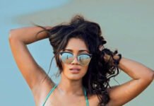Nivetha Pethuraj Fake Bikini Photos