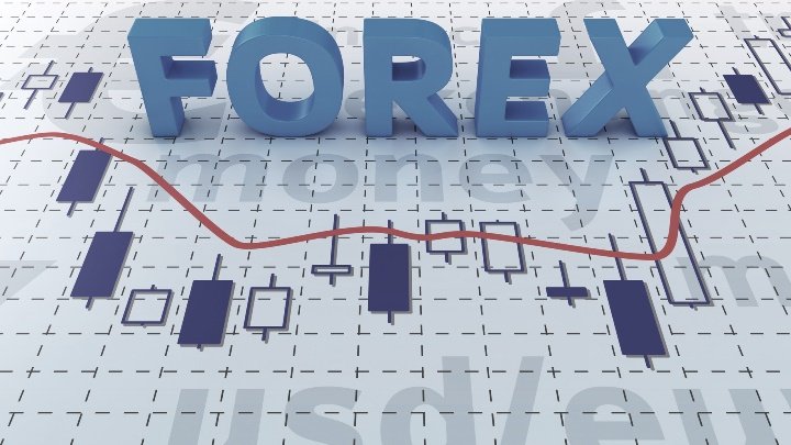 Forex police reviews