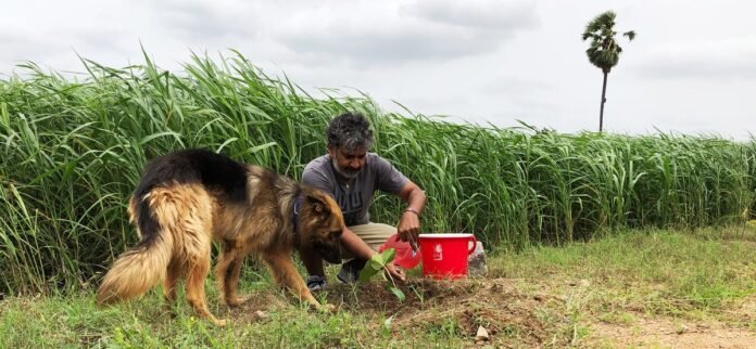 SS Rajamouli Accepted Haritha Haram Challenge