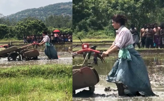 Rashmika Mandanna turns farmer and ploughing the Soil